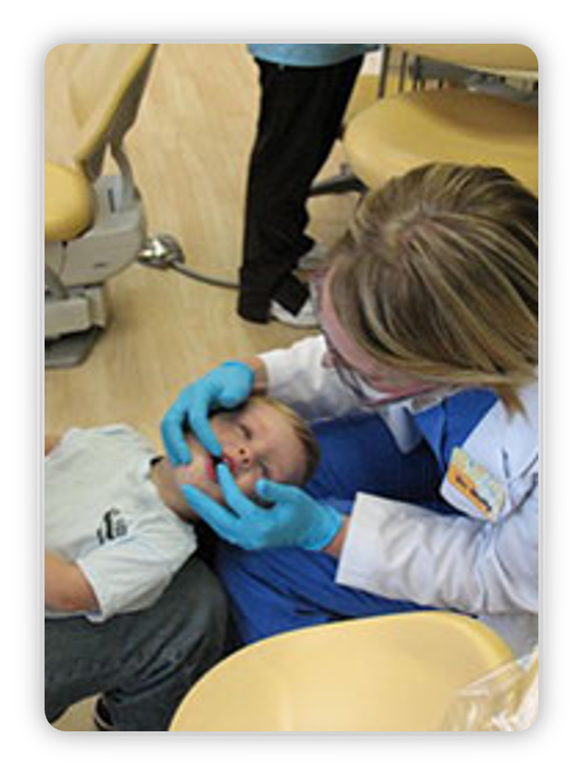 <p>How to position a toddler or infant for an orofacial exam</p>