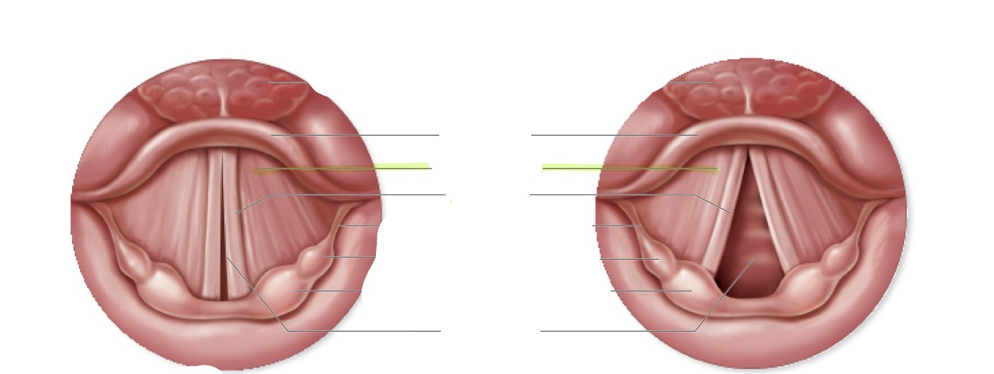 <p>what is this </p>