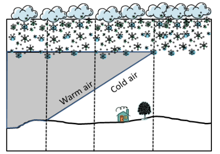 <p>Identify the 4 different perpipitain types in order from left to right. </p>