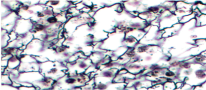 <p>Slide 20 </p>