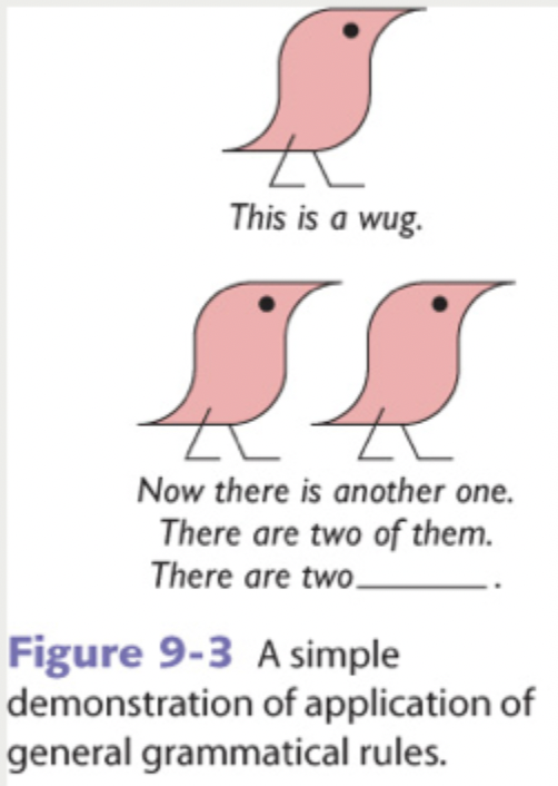 <ul><li><p>Gradually children add grammatical morphemes</p><ul><li><p>Words (e.g, a, the, at)</p></li><li><p>Ending of words (ex. -s, -ing)</p></li><li><p>Make sentences grammatical</p></li><li><p><strong>Grammatical morphemes</strong>: childrens longer sentences are filled with grammatical morphemes, words or ending of words (such as -ing, -ed, or -s) that make a sentence grammatical</p></li></ul></li></ul><p></p><ul><li><p><strong>Over regularization</strong></p><ul><li><p>Children master grammar by learning grammatical rules which are evident when children fail to use language in accordance with exceptions to the rules</p></li><li><p>Examples: “two mans” instead of “two men”, “grandma taked me to the candy store”</p></li></ul></li></ul><p></p><p></p><p></p><ul><li><p>Between the ages of 3 and 6, children also learn to use negation (“That isn’t a butterfly”) and embedded sentences (“Jennifer thinks that Bill took the book”). They begin to comprehend passive voice (“The ball was kicked by the girl”) as opposed to the active voice (“The girl kicked the ball”), although full understanding of this form continues into the elementary-school years</p></li></ul><p></p>