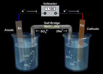 <p><strong>the ions within them migrate into the half-cells to neutralize accumulating charges, eventually diffusing out. </strong>But the salt bridge is made not just of salt, but of an absorbent material such as filter paper. This will soak up the electrolytes it is dipped into, so ions from the solutions will diffuse into it</p>