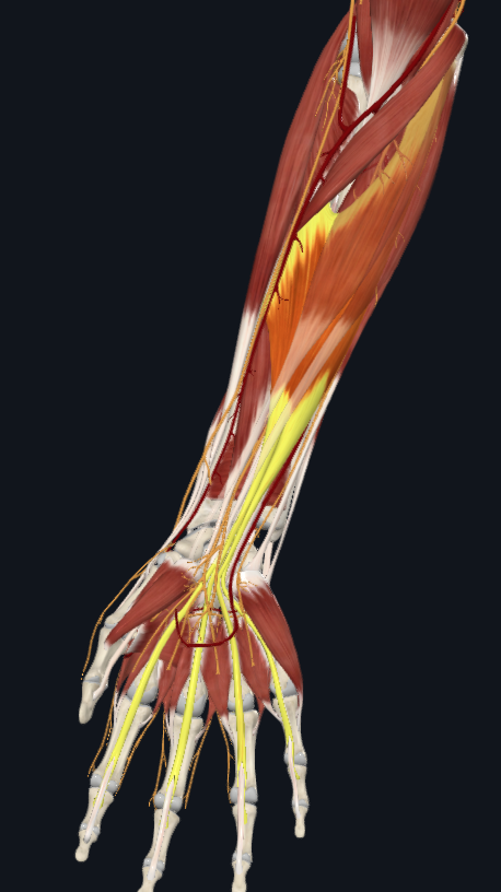 knowt flashcard image