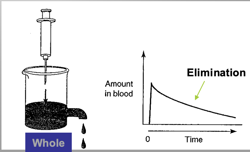 <p>drugs are usually eliminated exponentially </p>