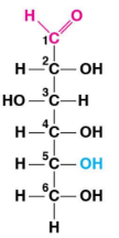 <p>What molecule is this?</p>