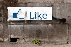 <p>to like</p>