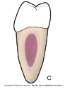 <p>What is this?</p>