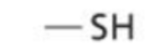 <p>A functional group consisting of a sulfur molecule bonded to a hydrogen molecule</p>
