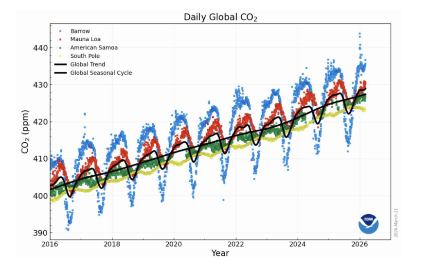 <p><span style="color: rgb(255, 253, 253);">Disrupting biogeochemical cycles - Carbon</span></p><ul><li><p><span style="color: rgb(255, 253, 253);">Carbon has been INCREASING in recent years </span></p></li><li><p>CO2 decreases in summer because Trees bloom and take in CO2 </p></li><li><p>CO2 increases in winter because leaves die and get decomposed releasing CO2</p></li></ul><p></p>