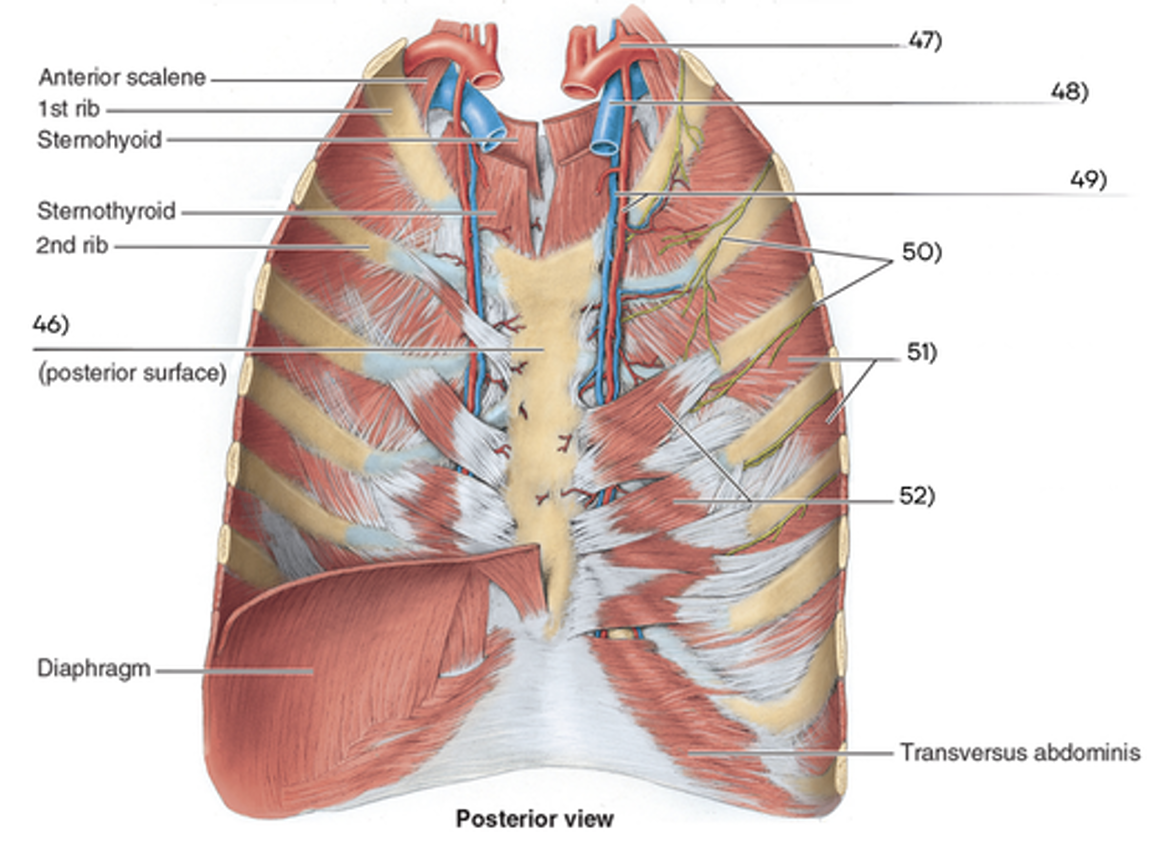 <p>what is 48</p>