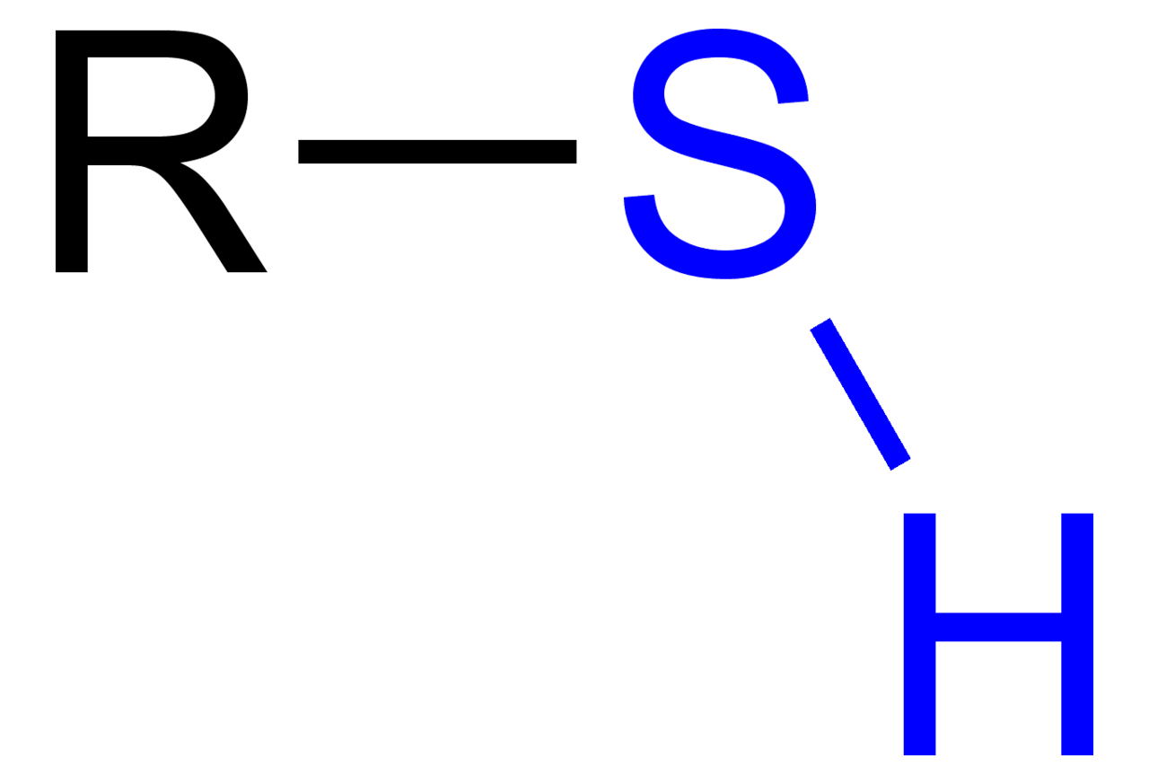 <p><span style="background-color: transparent;"><strong>–SH</strong></span></p>