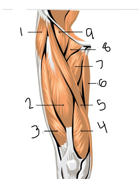 <p>8</p>