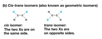 <p>Molecules that have the same chemical formula and atom connections, but a different spatial arrangement in three-dimensional space</p><ul><li><p>Also called <em>cis-trans</em> isomers</p></li></ul><p></p>