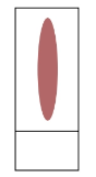 <p>what is the issue</p>