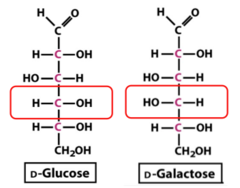 <p>subset of diastereomers, differ only at one chiral center</p>