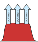 <p>When a number of alleles are maintained in the gene pool.</p>