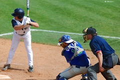 <p>baseball</p>