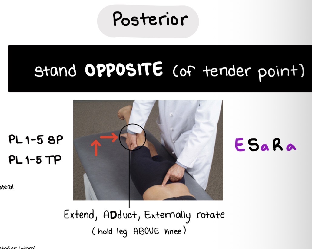 <p>ESARA</p><p>Stand on opposite side and pull leg to midline</p>