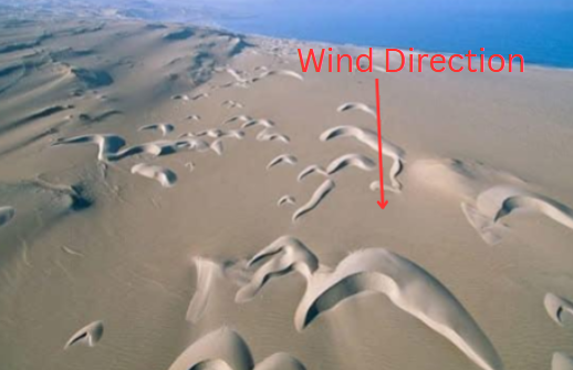 <p>What kind of Dune is this?</p>