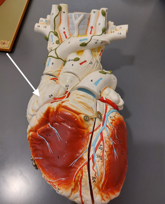 <p>3</p>
