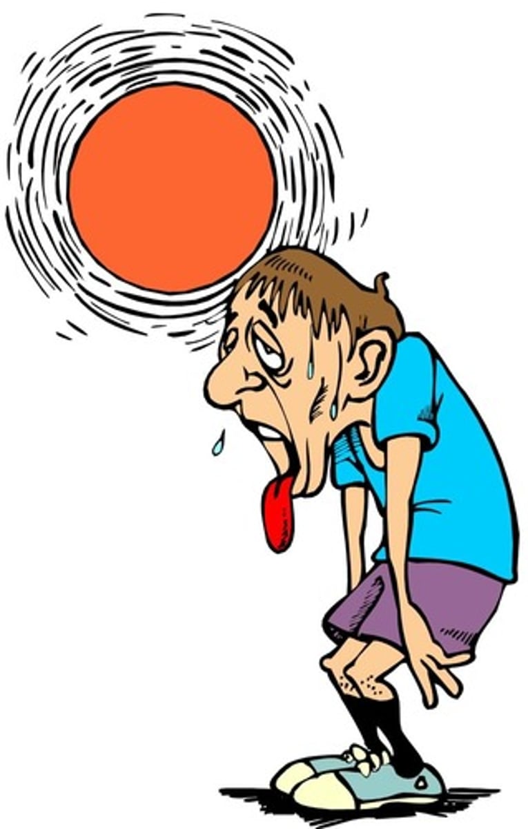<p>heat</p>