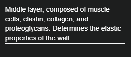 <p>Middle layer, composed of muscle cells, elastin, collagen, and proteoglycans.</p>