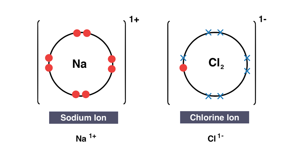 <p>During the transfer of electrons, ions with <strong>opposite charges</strong> are formed. They are attracted to each other by <strong>electrostatic forces </strong>(ionic bond) and form an ionic compound.</p>