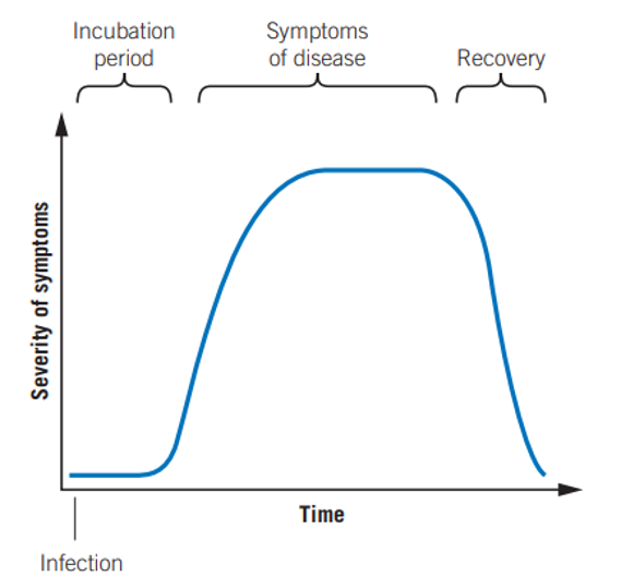 <ul><li><p>incubation period - pathogen multiplying and travelling to target tissue, toxins made and released.</p></li><li><p>symptoms of disease - pathogen results in symptoms in the body. when the immune system recognises the presence of non-self antigens from the pathogen, it begins producing an immune response to eliminate the infection. an innate response is quickly initiated, and if the infection continues and specific antigens from the pathogen are recognised by lymphocytes, an adaptive response is initiated.</p></li><li><p>recovery - pathogen eliminated by immune system</p></li></ul><p></p>