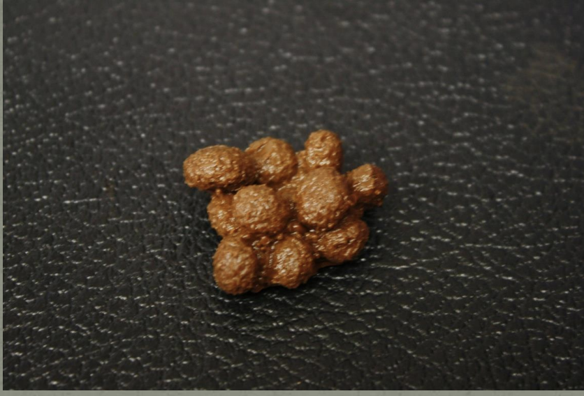 <p>Identify this scat</p>