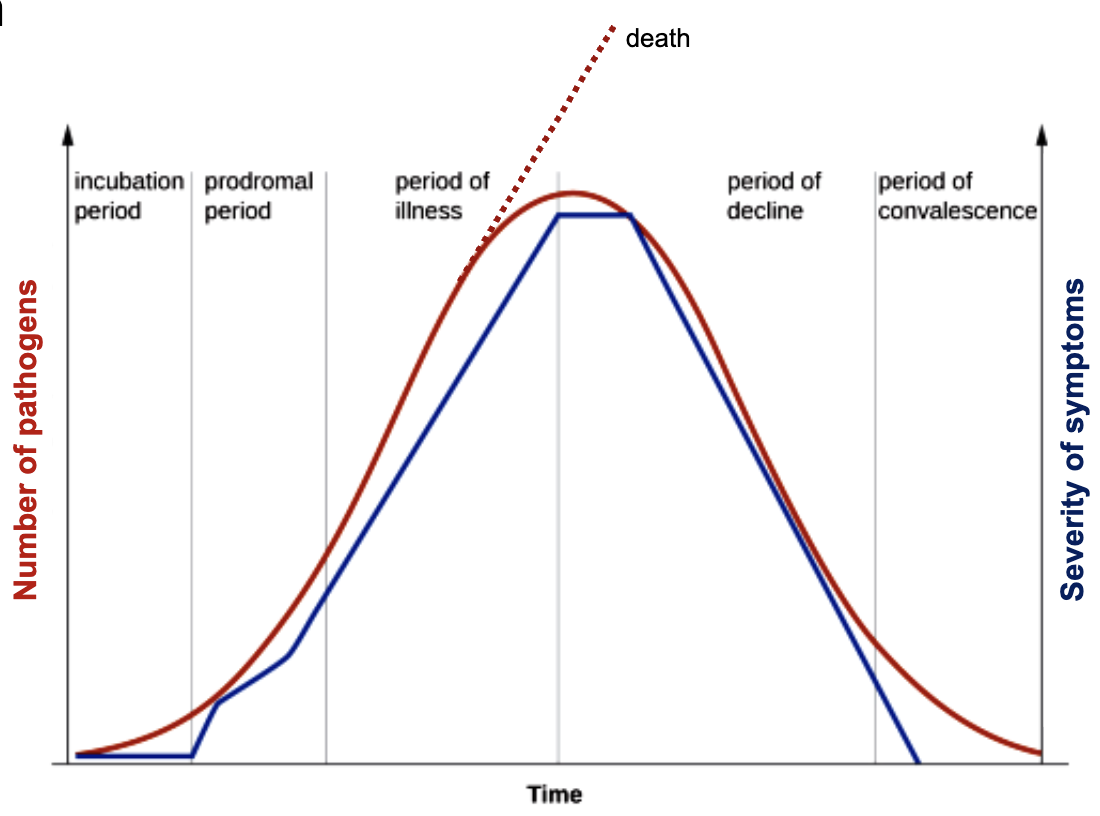 <p>incubation period, prodromal stage, period of illness, period of decline, convalescence</p>