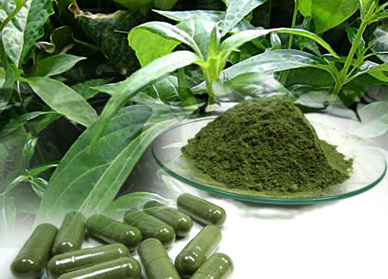 <p>ฟ้าทะลายโจร</p><ul><li><p>Parts used</p></li><li><p>Taste</p></li><li><p>Uses</p></li><li><p>Contraindications</p></li></ul><p></p>