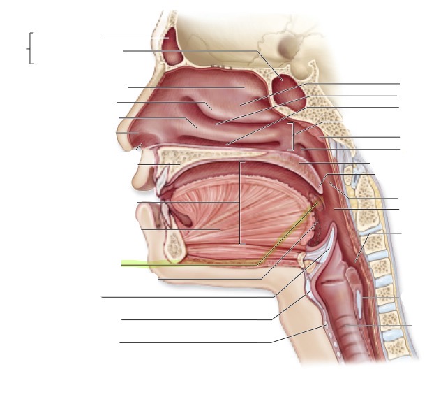 <p>what is this </p>