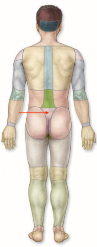 <p>what is this section called?</p>