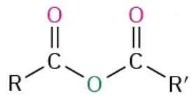 <p>anhydride </p>
