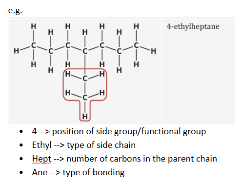 <p><span style="background-color: inherit; line-height: 20.7px; color: windowtext;">Their position is indicated by a <u>number before their corresponding prefix</u></span><span style="line-height: 20.7px; color: windowtext;">&nbsp;</span></p>