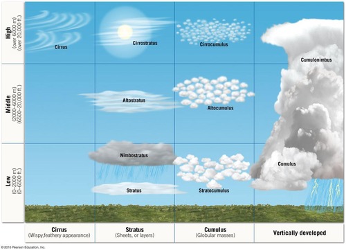 <p><span>Cirrus clouds.</span></p>