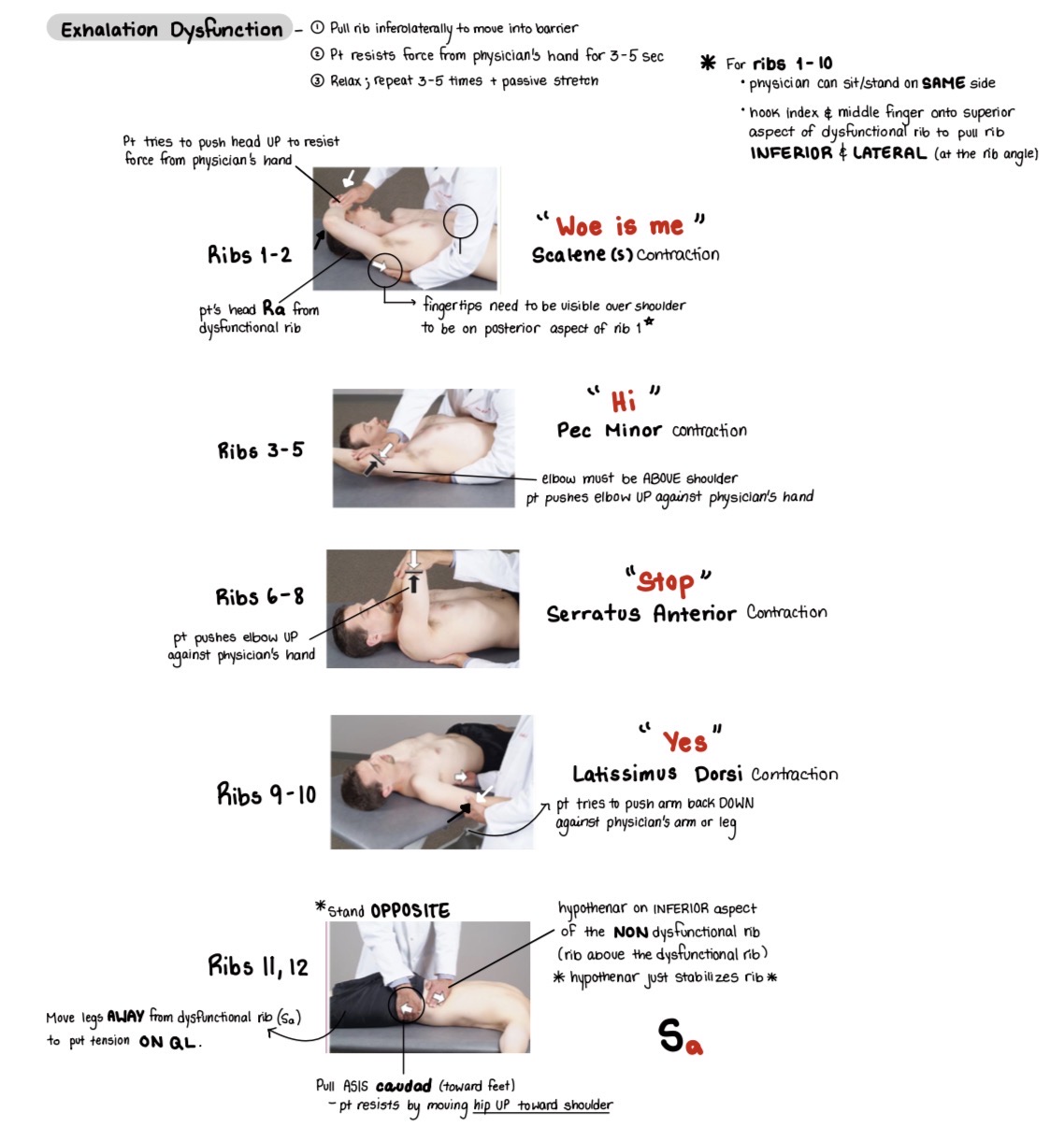 <p>Pt. Head rotates away and presses up into Dr.’s hand </p><p>“Woe”</p>