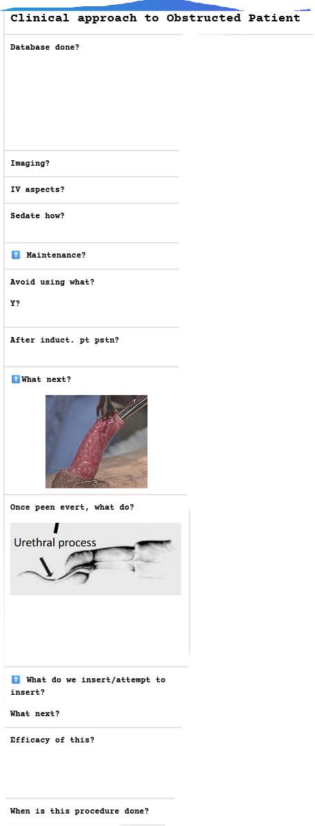 <p>.</p>
