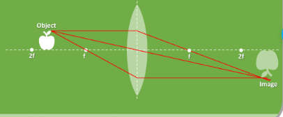 <p>Object position - Between f and 2f</p><p>Image position - Beyond 2f</p><p>Image orientation - Inverted</p><p>Magnified or dimished - Magnified</p><p>Application - Projector</p><p>Real image</p>