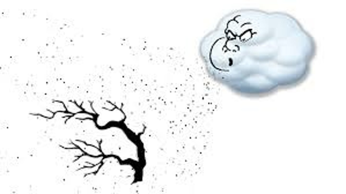 <p>(nature English) gió rít lên Ví dụ: The wind was whistling through the trees.</p>