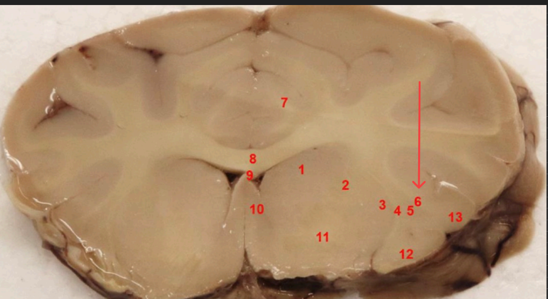 <p>what area is this</p>