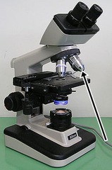 <p>What part of the microscope does the arrow indicate</p>