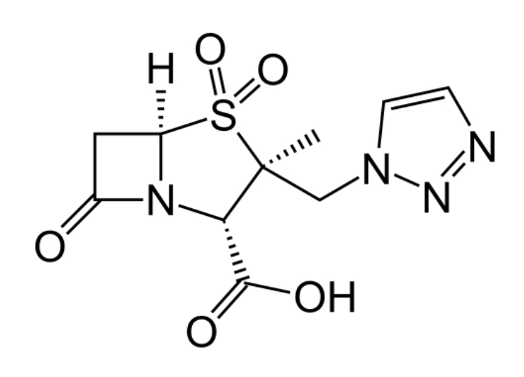<p>Inhibitor β-laktamaz</p><ul><li><p>nieodwracalnie wiąże się z wieloma β-laktamazami bakterii,</p></li><li><p>hamuje enzymy rozkładające antybiotyki β-laktamowe,</p></li><li><p>chroni antybiotyk przed inaktywacją,</p></li></ul><p>piperacylina +</p>