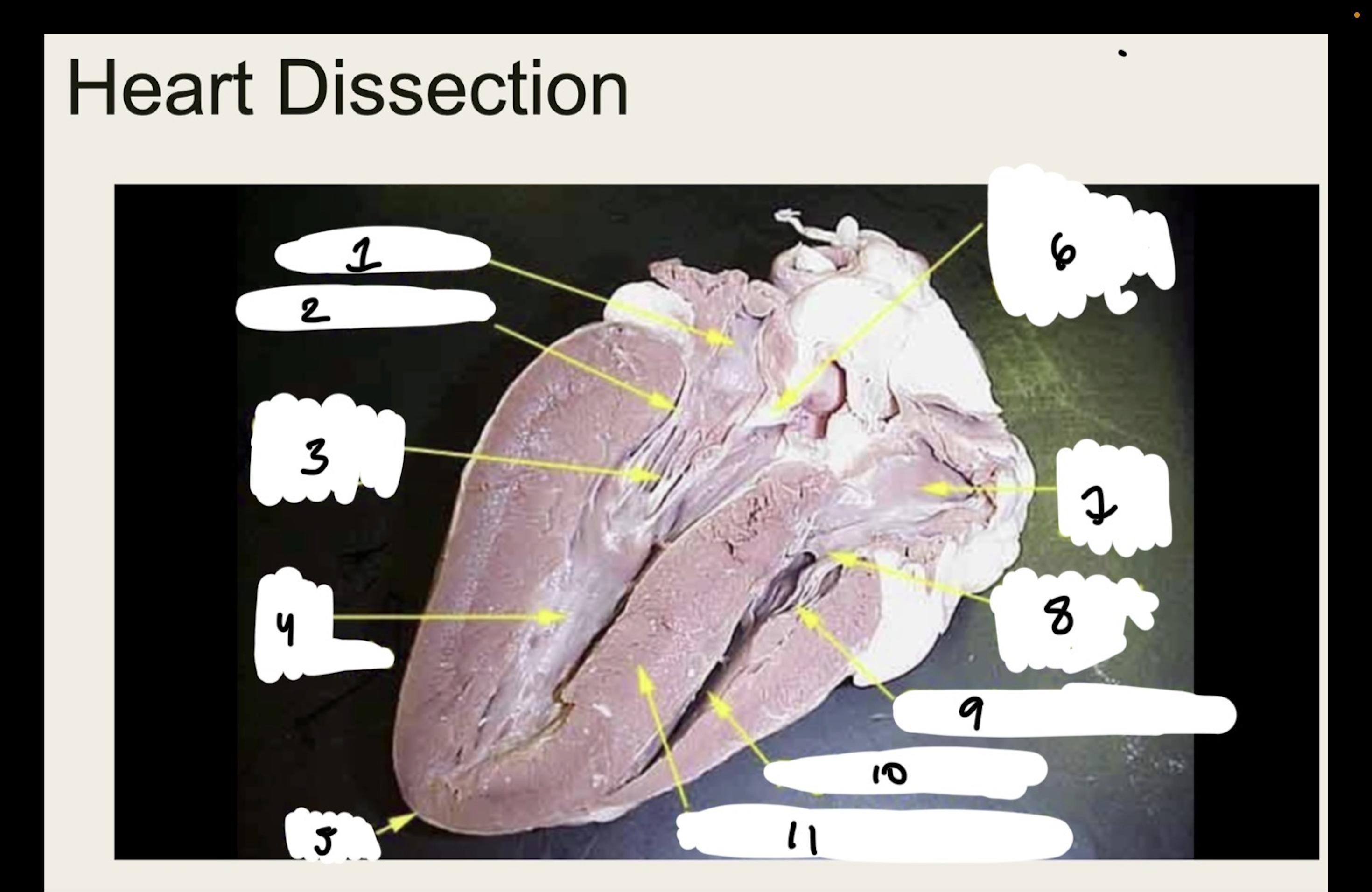 <p>1.XX</p><p>2.XX</p><p>3.XX</p><p>4.XX</p><p>5.XX</p><p>6.XX</p><p>7.XX</p><p>8.XX</p><p>9.XX</p><p>10.XX</p><p>11.XX</p>