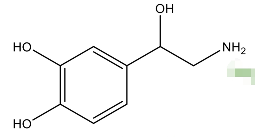 <p>Sympathomimetics</p>