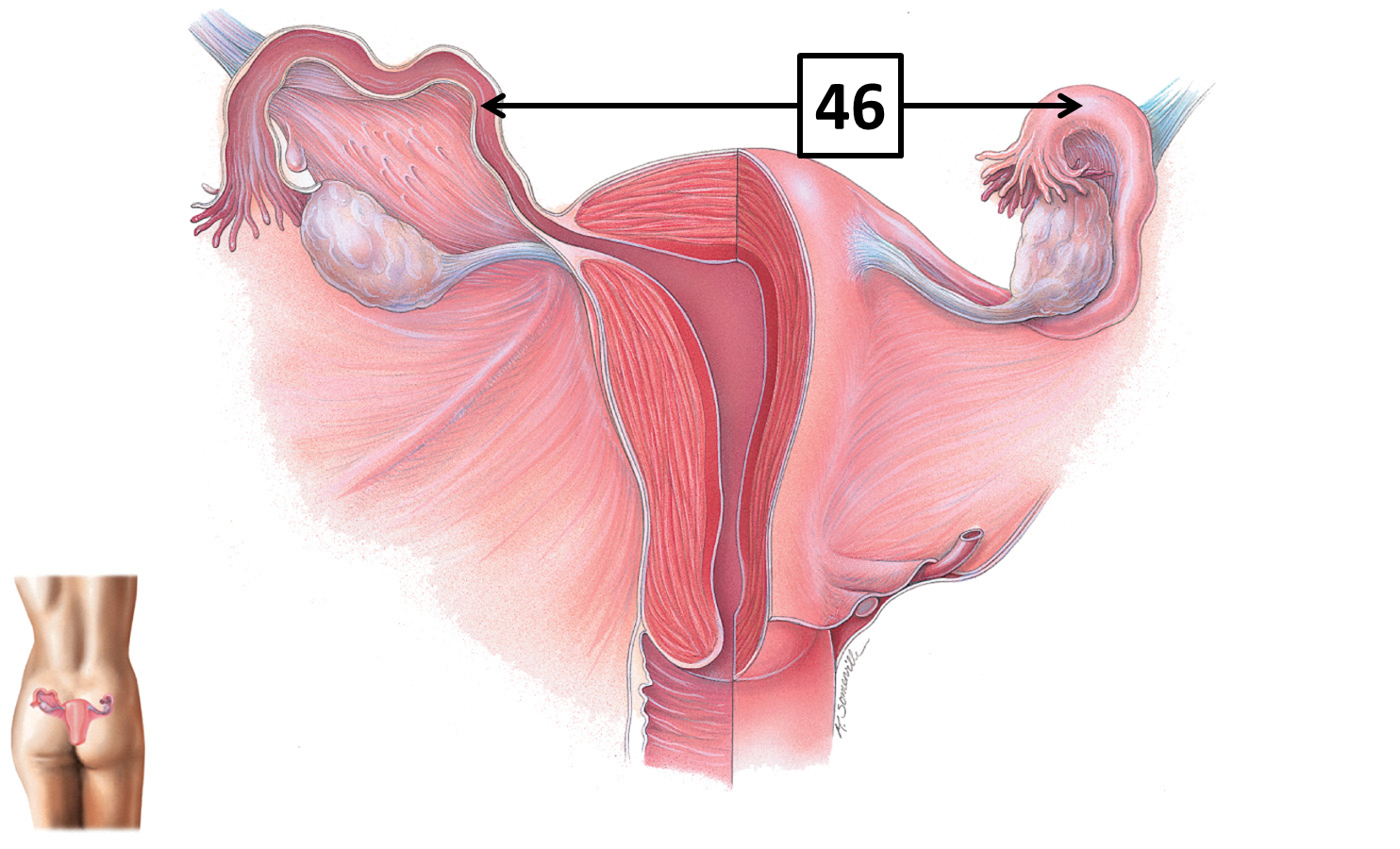 <p>Name and function </p>