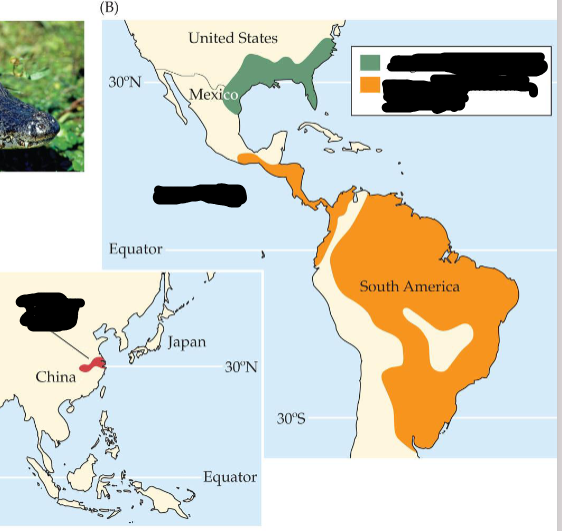 <p>What family has this distribution? </p>