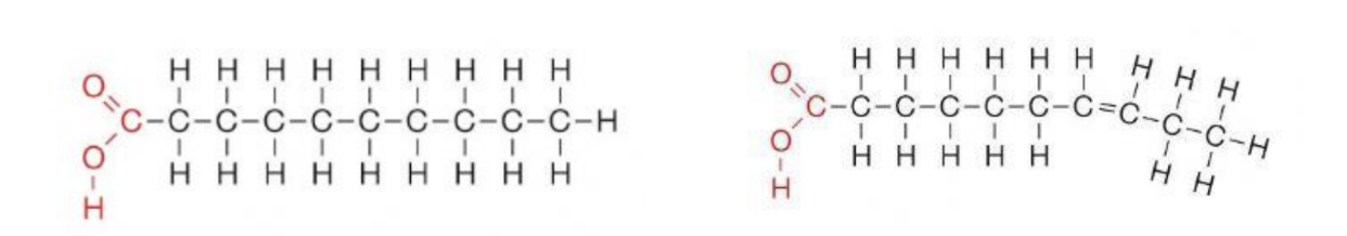 <p>which one is saturated/unsaturated?</p>