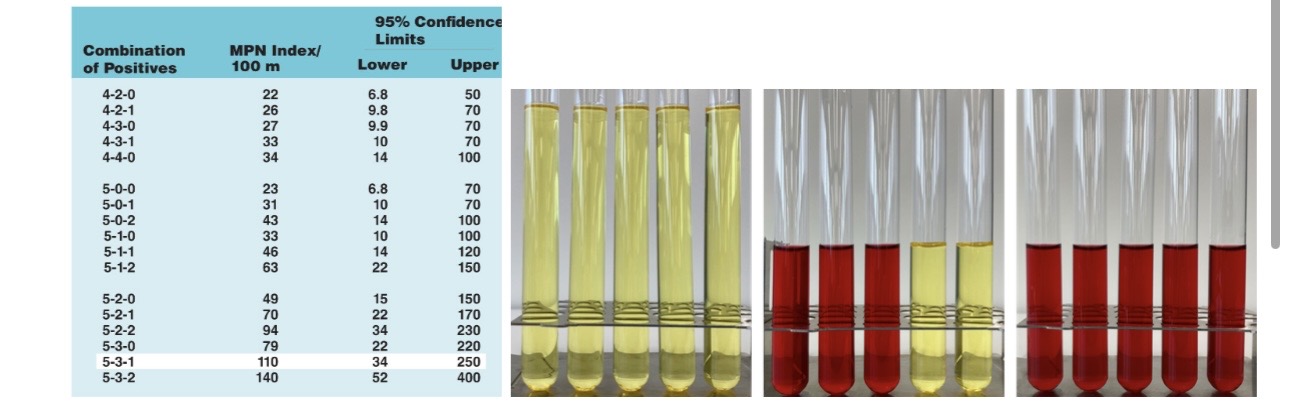 <p>(For this [Yellow= Positive] [Red= Negative])</p><p>A. What is the MPN? (MPN Index Value) </p><p>B. What are these sets of tests called? (The image on the right) </p><p>C. What is the next set of tests called? </p>