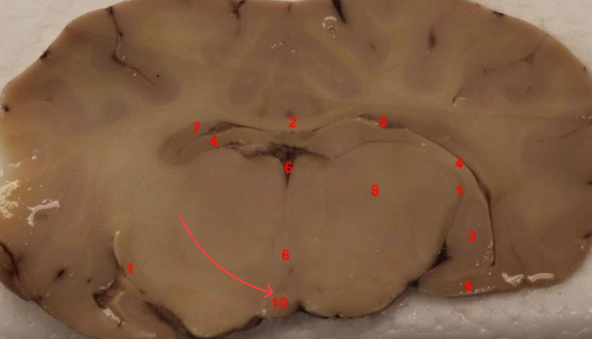 <p>what area is this </p>